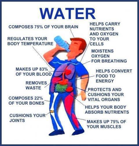 Why drink water